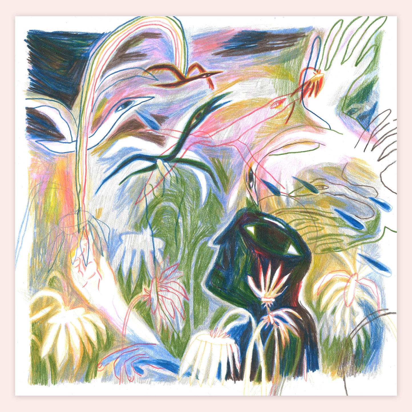 Birds - Aya Chor