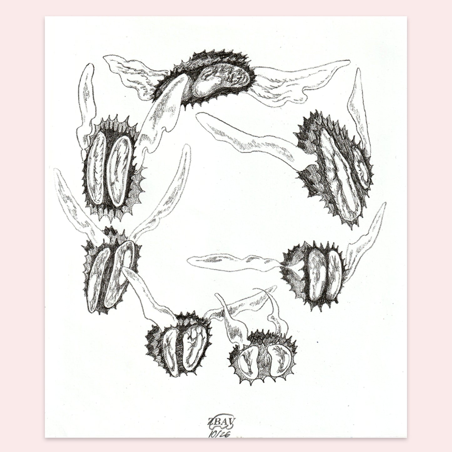 Flies - Zbav Fantasy