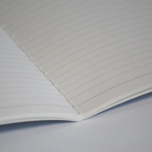 Purple Mountains notebook - Earth Stories