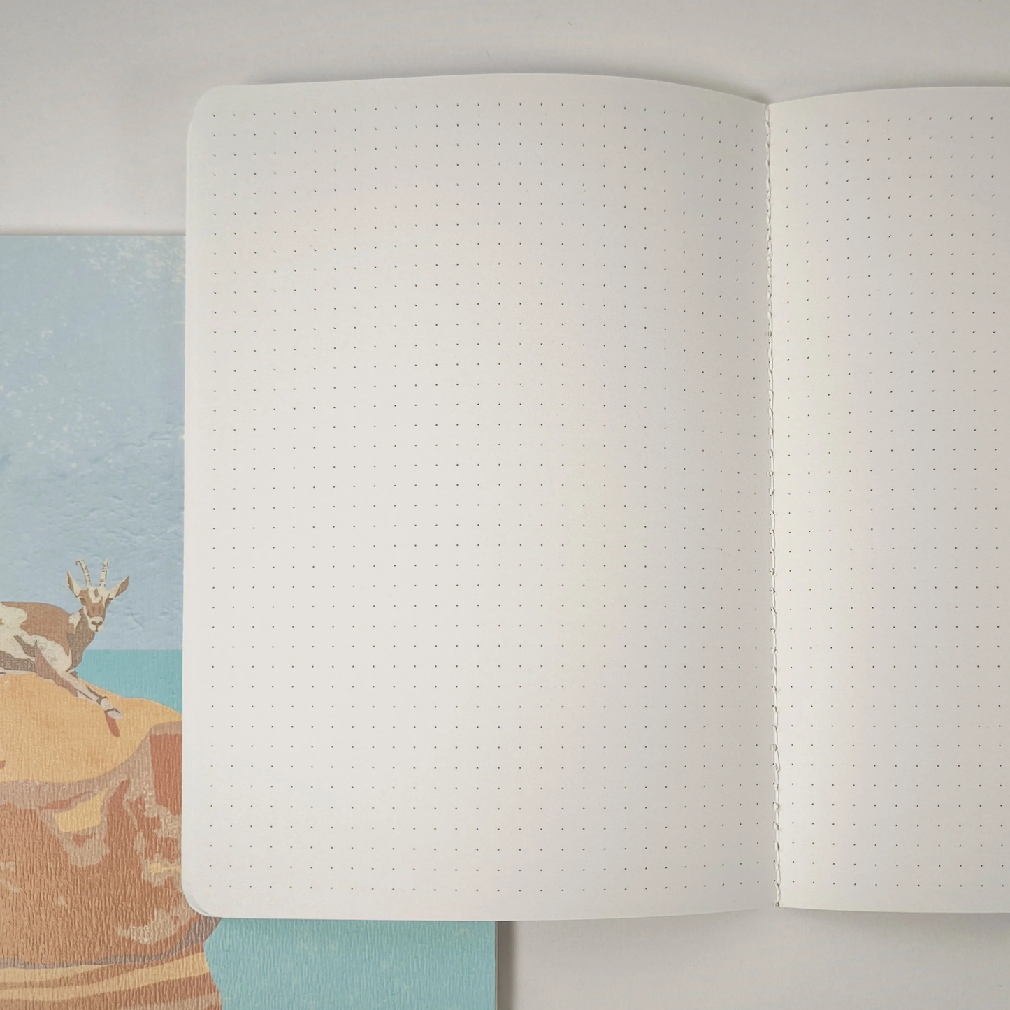 Ibexes notebook - Earth Stories