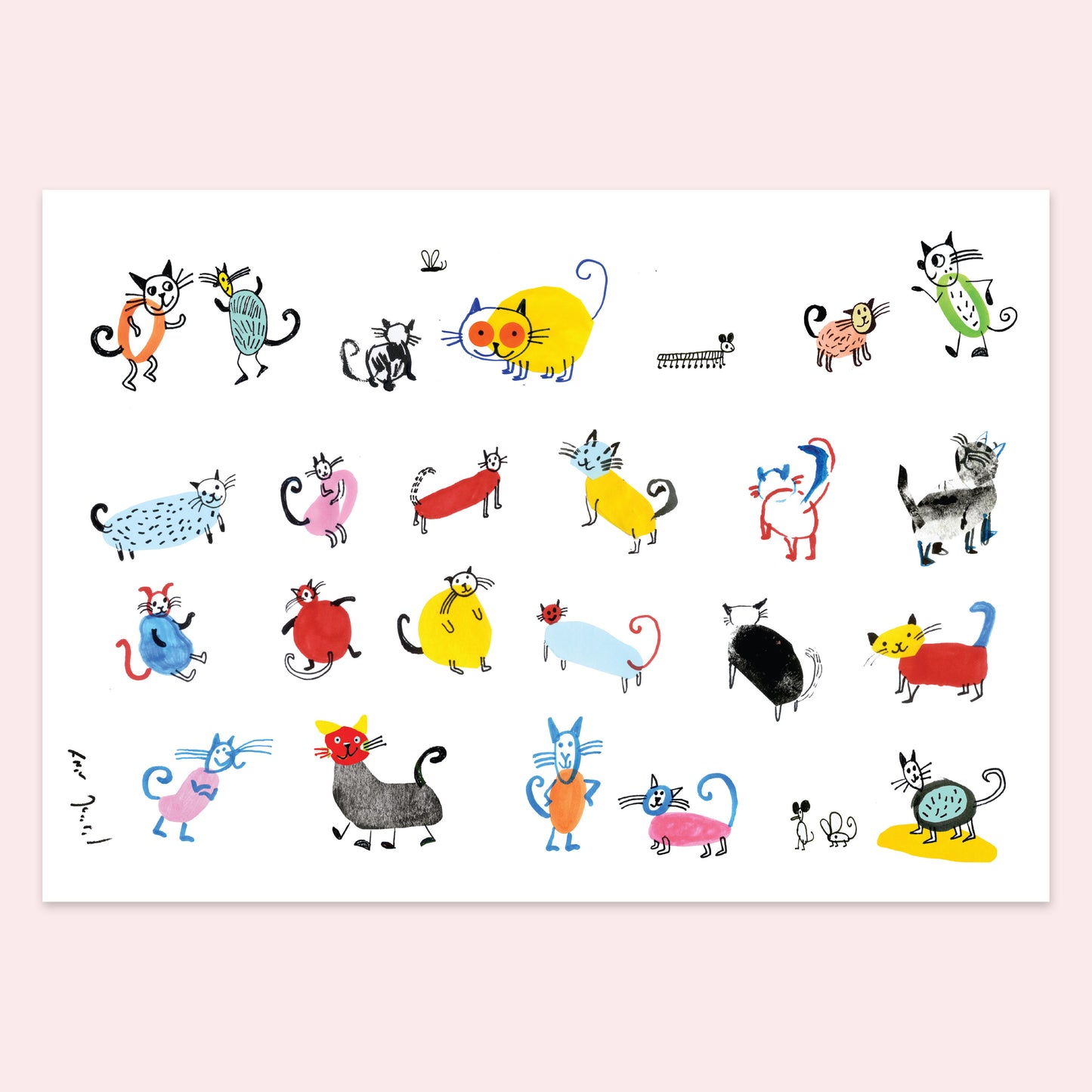 Cats - Amit Trainin