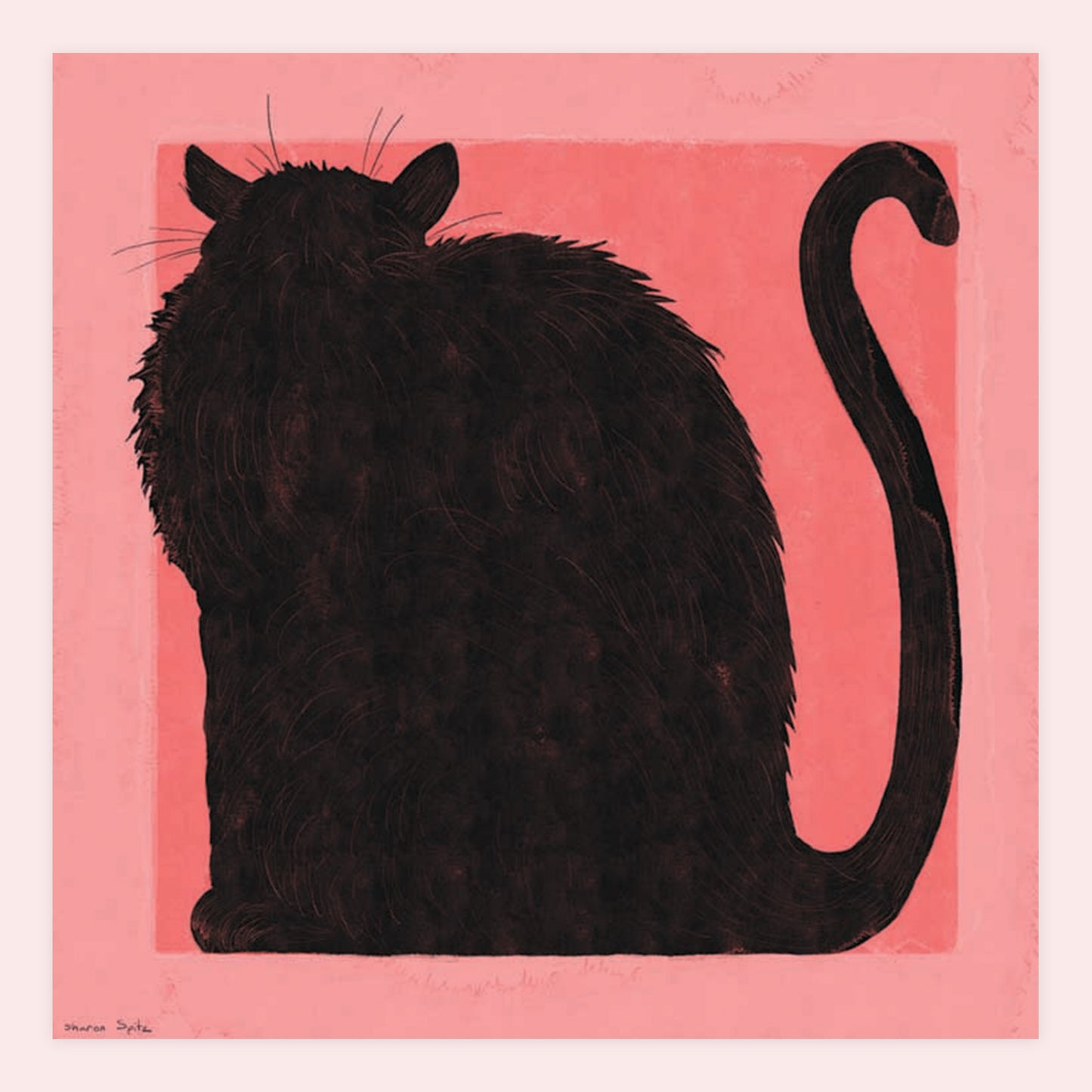Cat - Sharon Spitz