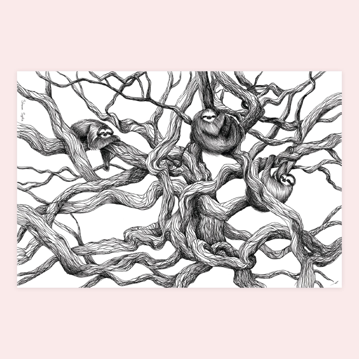 Sloths - Sharon Spitz