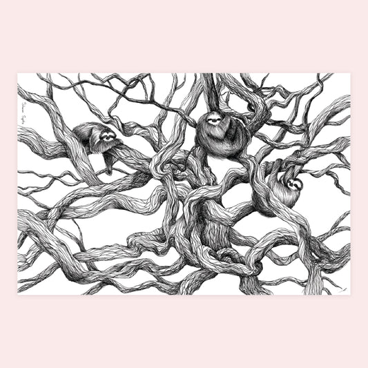 Sloths - Sharon Spitz