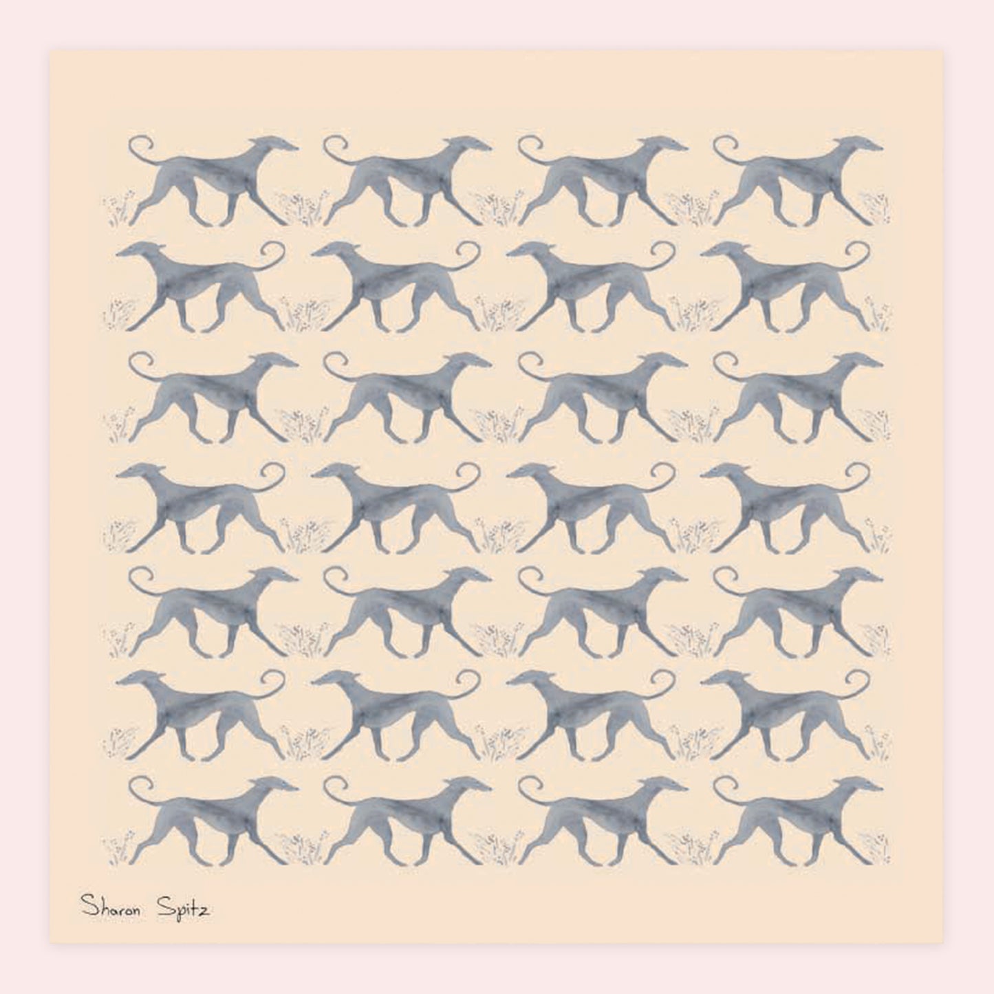 Saluki - Sharon Spitz