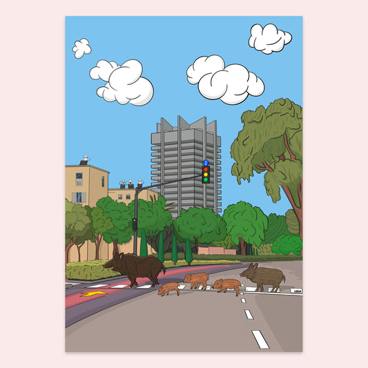 Boars at Kiryat Eliezer - Hayon