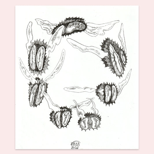 Flies - Zbav Fantasy