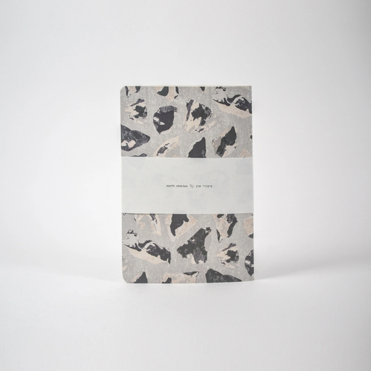 Flint Nodule Rocks notebook - Earth Stories