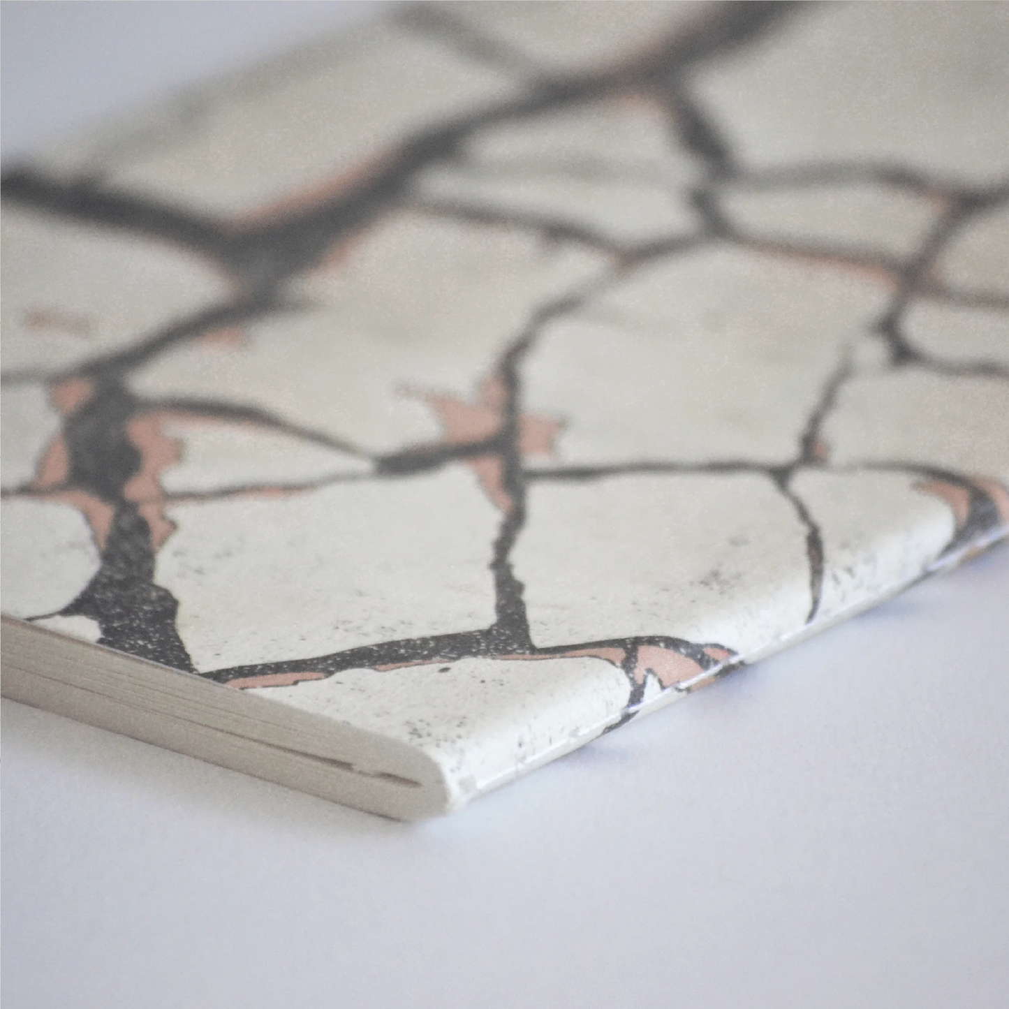 Cracks notebook - Earth Stories