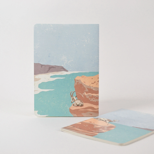 Ibexes notebook - Earth Stories