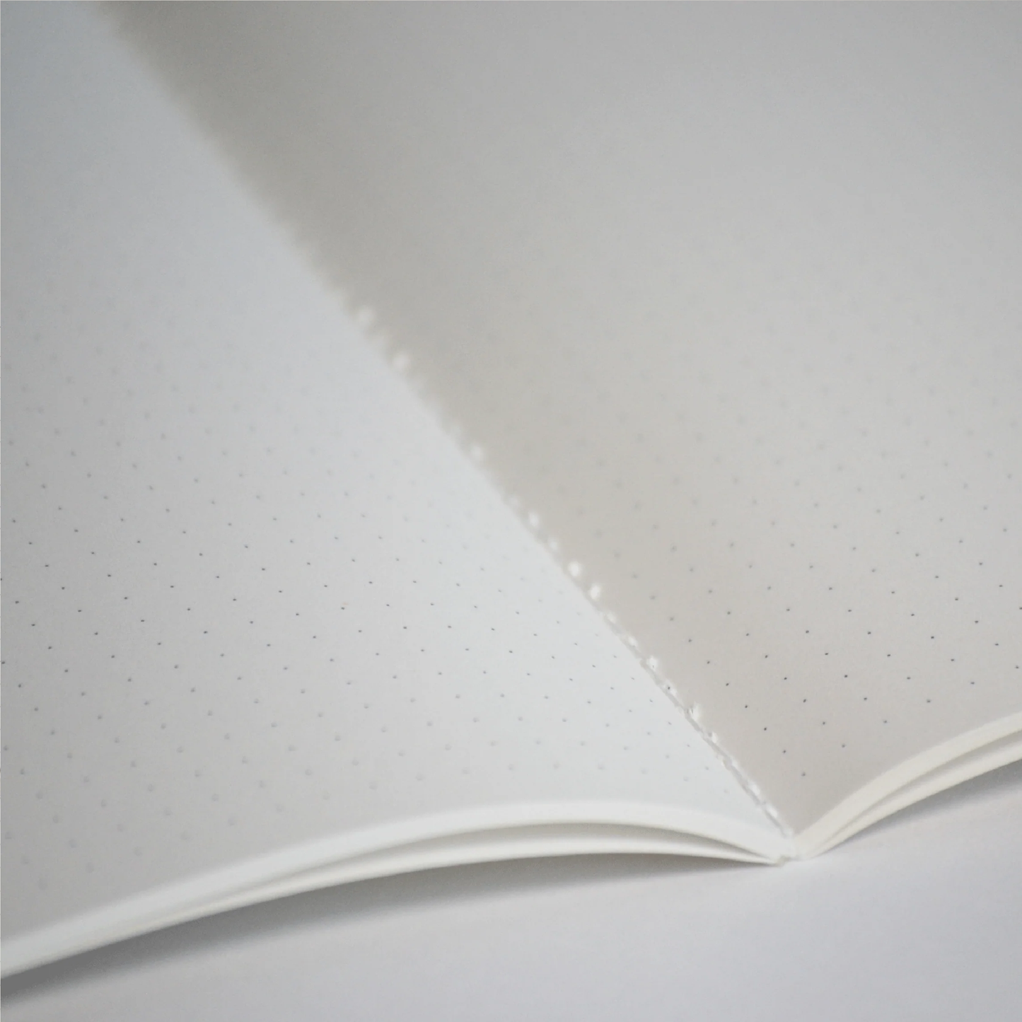 Cracks notebook - Earth Stories