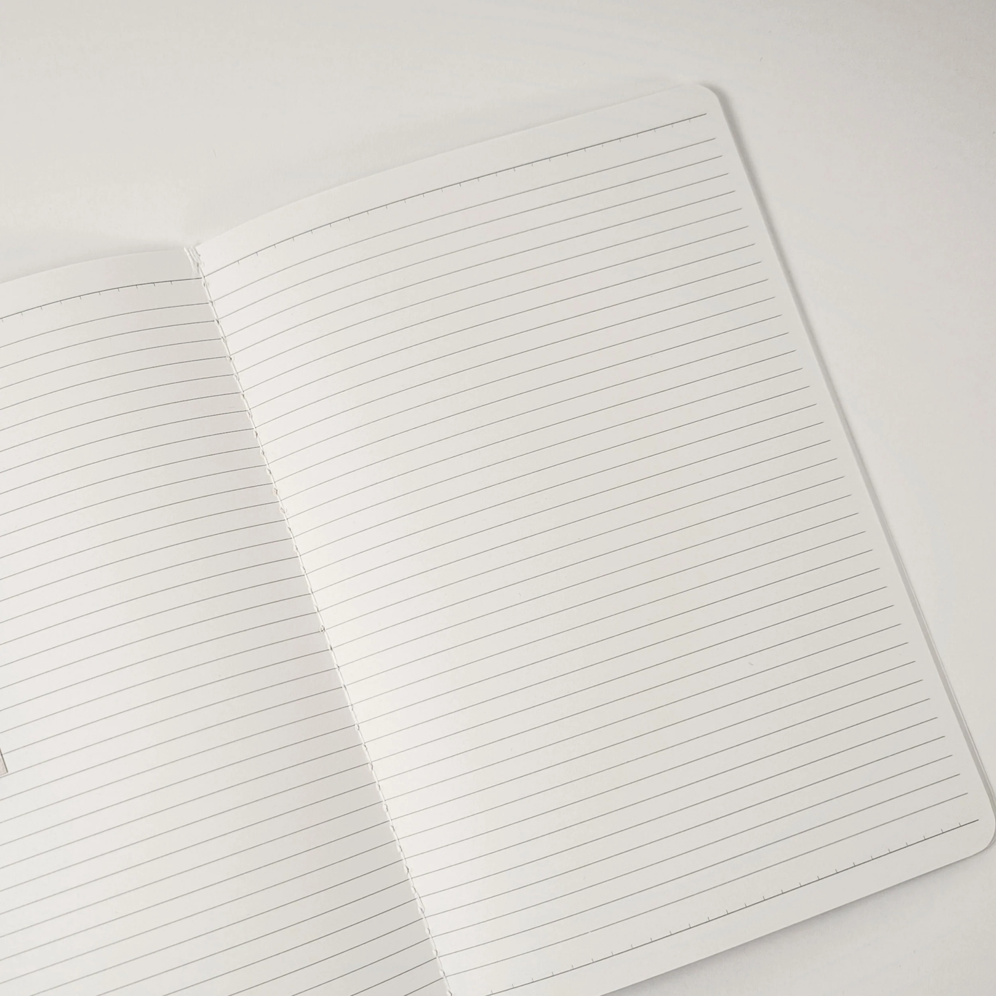Flint Nodule Rocks notebook - Earth Stories