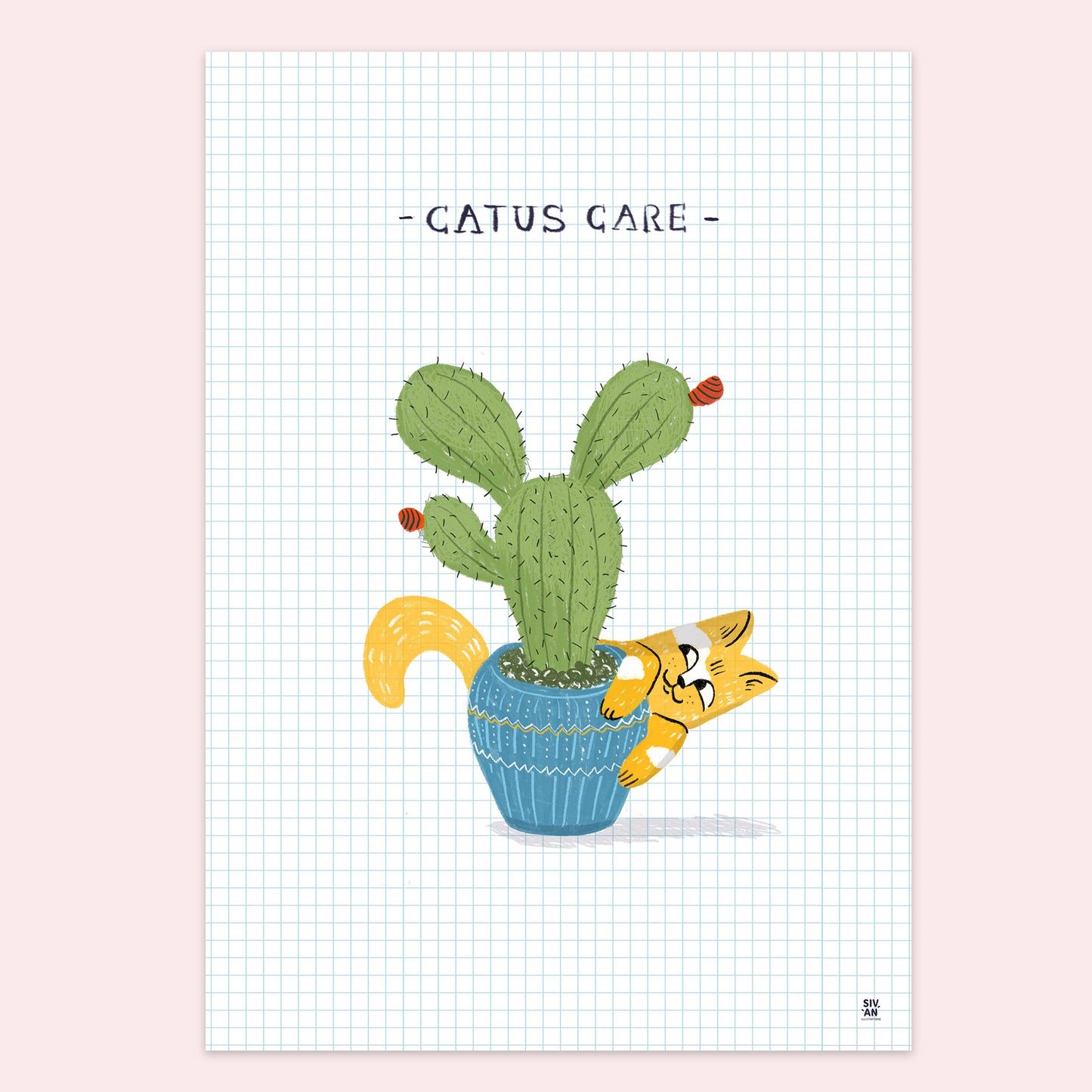 Cactus Care - YOFI TOFY